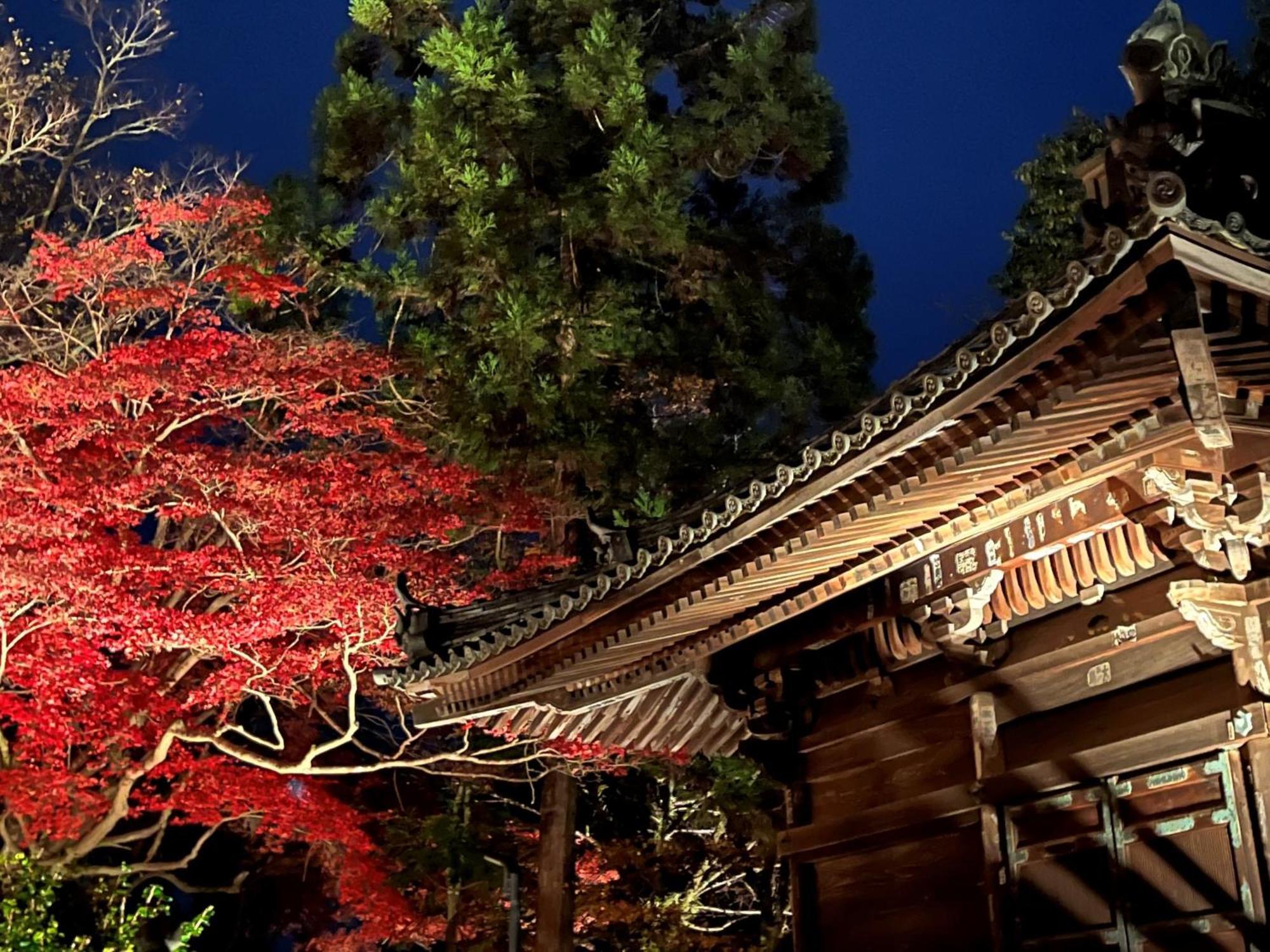 Vessel Inn Shigamoriyama Station Экстерьер фото